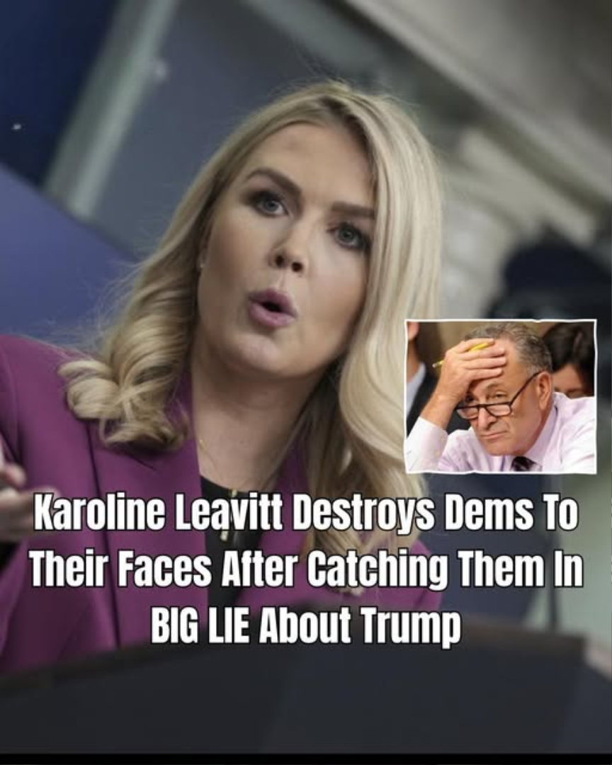 Karoline Leavitt Crushes Dems Over ‘Affordability Crisis’ They Created With Biden-lllllllllll